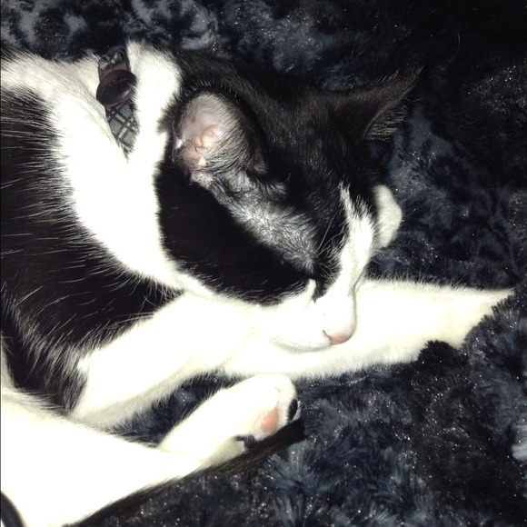 Aimee Delpierre - Poshmark Profile Picture of Aimee Delpierre (@adelpierre) on Poshmark