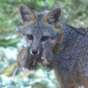 Profile Picture of Robert Marcus (@rm1691) on Youtube