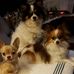 Profile Picture of Diane Knepper (@diane.knepper.39) on Facebook
