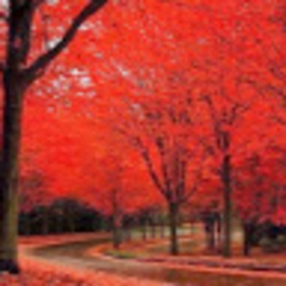 Profile Picture of Grant Cooper (@breachedportal) on Poshmark