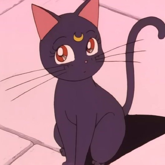 Profile Picture of Camille Boudreault (@sharkskiies) on Poshmark