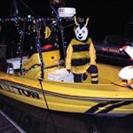 Profile Picture of Nancy Ellett (@wardanof2) on Instagram