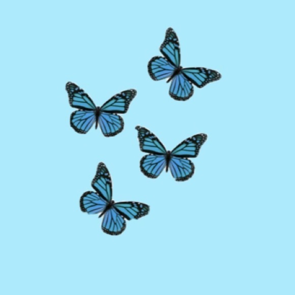 Profile Picture of Alison Rasmusson (@amrasmusson) on Poshmark