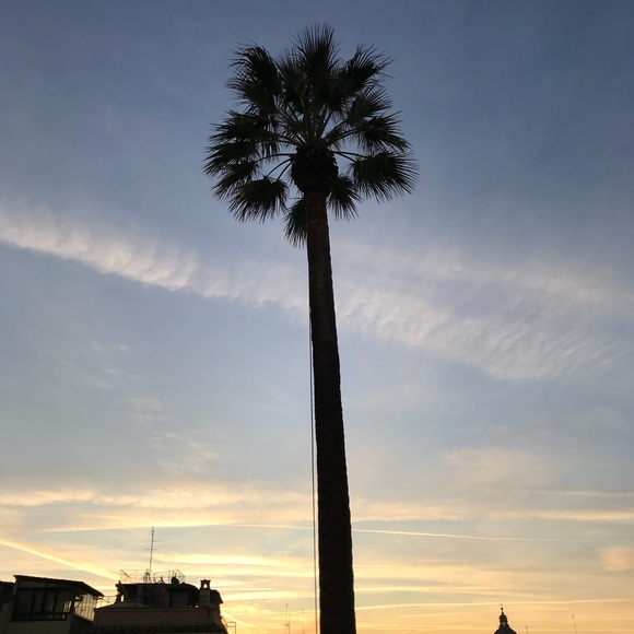 Profile Picture of Signe Rediger (@signe1234) on Poshmark