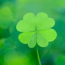 cuong_lake - Tiktok Profile Picture of cuong_lake (@cuong_lake) on Tiktok