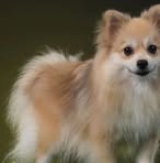 Angelo Cañedo - Facebook Profile Picture of Angelo Cañedo (@angelo.canedo.740199) on Facebook