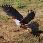 Profile Picture of craig (@craig.wedel) on Instagram