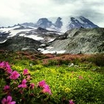 Profile Picture of miltonparrish41579 (@miltonparrish41579) on Instagram