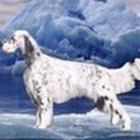 Profile Picture of Kathi Dunbar (@kathi-dunbar-1) on Quora