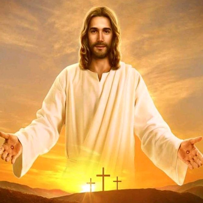 Profile Picture of David Whitford (@davidwhitford2558) on Tiktok