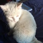 Loomis Henry - Instagram Profile Picture of Loomis Henry (@loomis.henry22) on Instagram