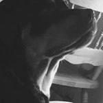 Profile Picture of Dusty Rushing (@rushingdusty63) on Instagram