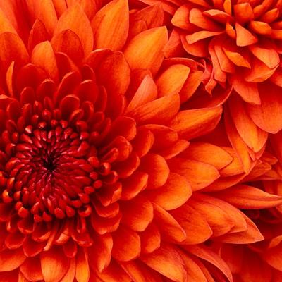 Profile Picture of Odeh Onah Kenneth (@OnahOdeh) on Twitter