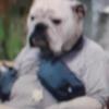 Profile Picture of Phillip Pendleton378 (@@dabutterydawg) on Tiktok