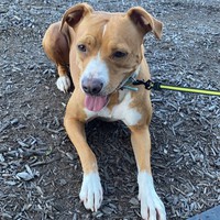 Profile Picture of Cortney Brooks (@cortney-brooks-7) on Quora