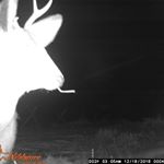 Profile Picture of jeffrey sussman (@jeffreysussman8327) on Instagram