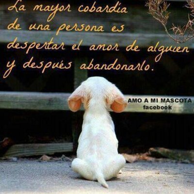 Profile Picture of Alejandro Avelar (@alex_avelar3) on Twitter