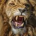 Profile Picture of Rudy Barrera (@rudy.barrera.39395) on Facebook