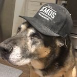 Profile Picture of Andrew DeMos (@demoski) on Instagram