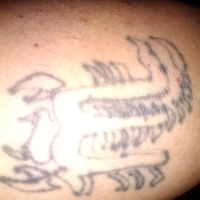 Profile Picture of Joseph J Waligora (@WaligoraJoseph) on Twitter