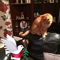 Profile Picture of Wilma Boyd (@wilma-boyd-3) on Quora