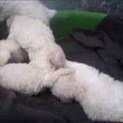 Profile Picture of Alex Quezada (@cyberblack24) on Youtube