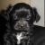 Profile Picture of Patrick Van Dijk (@206968889) on Myspace