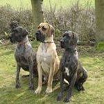 Profile Picture of Richard Craig Hempstead (@richardhempstead) on Instagram