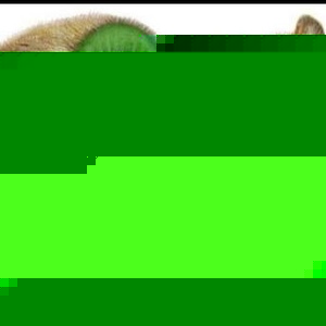 Profile Picture of Jeremy Emery (@kiwiandsound) on Myspace