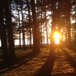 Profile Picture of Gary Jonas (@wearethejonases) on Instagram