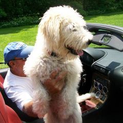 markbornstein605 - Tiktok Profile Picture of markbornstein605 (@markbornstein605) on Tiktok