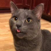 Profile Picture of Taylor Westhoff (@taylorwesthoff6324) on Youtube