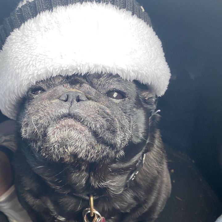 Profile Picture of mathyou (@matthew.orbaugh) on Tiktok