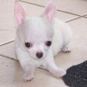 Profile Picture of Steven Curcio (@Steven-Curcio) on Facebook