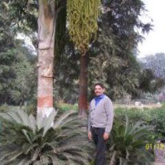 Profile Picture of Anil Mahajan (@26anilmahajan) on Twitter