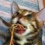 Profile Picture of Adrian Lall (@kisametheshark) on Instagram