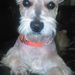 Profile Picture of eduardo quintero (@jeguerreroq) on Pinterest