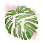 Profile Picture of Taylor Atchison (@thefondfrond) on Instagram