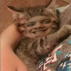 Lobo Mountain - Twitter Profile Picture of Lobo Mountain (@steve_reidhead) on Twitter