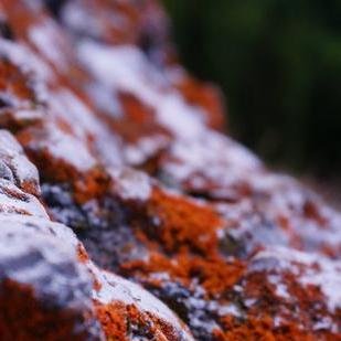 Profile Picture of Dan Kazakov (@taigadream) on Twitter