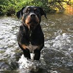 Profile Picture of Zoran Panic (@zoran.panic.560) on Instagram