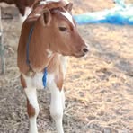 Profile Picture of Kevin Ramirez (@Kevin-Ramirez) on Facebook