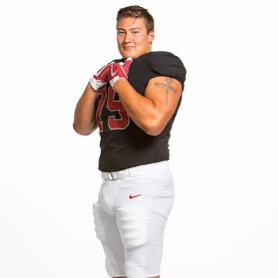 Profile Picture of Foster Sarell (@thebigfozbear) on Twitter