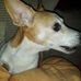 Profile Picture of Herbert Reiss (@herbert.reiss.1) on Facebook