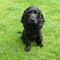 Profile Picture of Margaret Mcdermott (@margaret.mcdermott.5680) on Facebook
