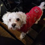 Profile Picture of Cynthia Tyler (@cynthia.tyler.188) on Instagram