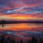 Profile Picture of Scott Bugel (@scottbugel) on Instagram