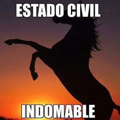 Profile Picture of Ana Bouza (@Any1611) on Twitter