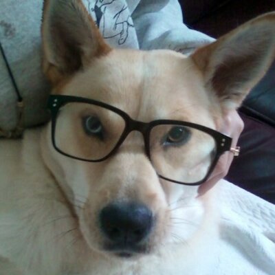 Profile Picture of Jordan Rocque (@bulbousbouffant) on Twitter