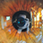 Profile Picture of Tim Hoffman (@m&t enterprises) on Flickr